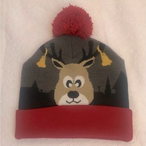 NWOT Festive Fun Pom Pom Festive Fun Beani